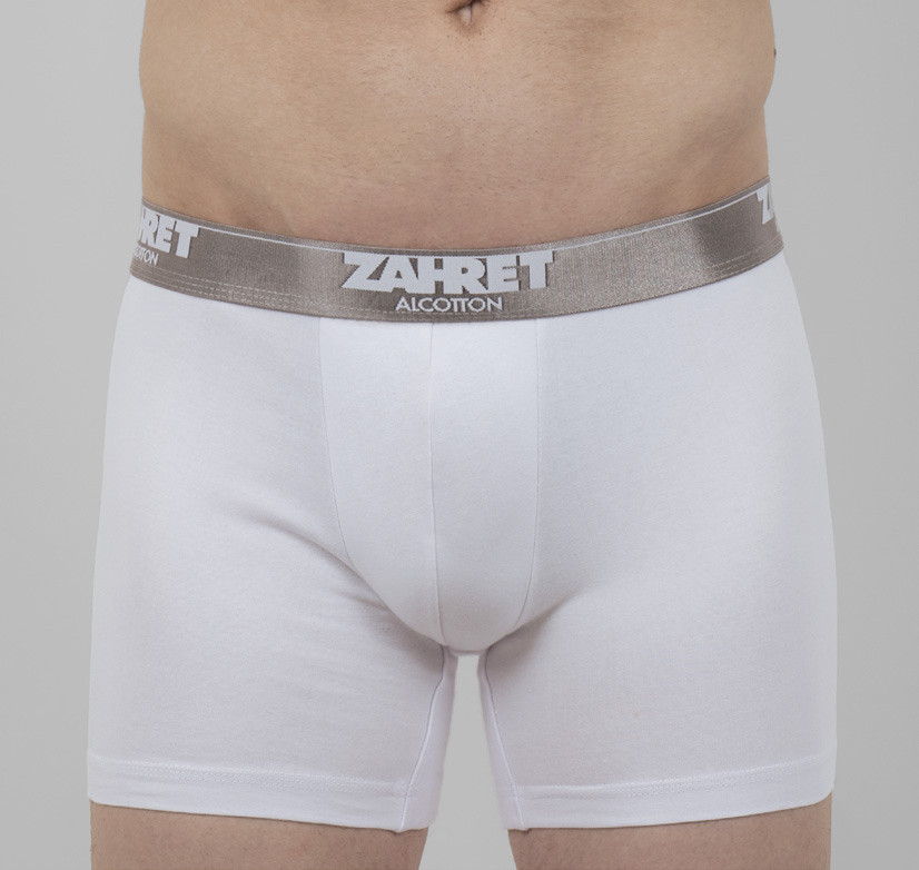 Men's Underwear Cotton Stretch Trunk Boxer