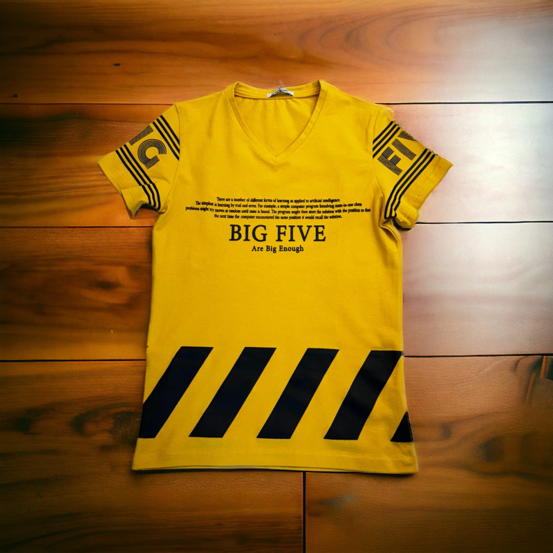 T-Shirt 222E106 - Hover